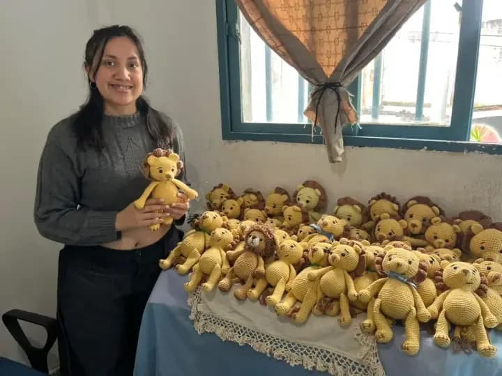 Impulsan una campaña para regalar 150 leoncitos a los chicos del Pediátrico