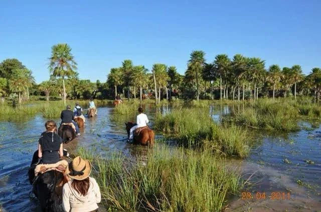 Fin de semana en Corrientes: 80% de ocupación hotelera y un impacto de $6.000 millones
