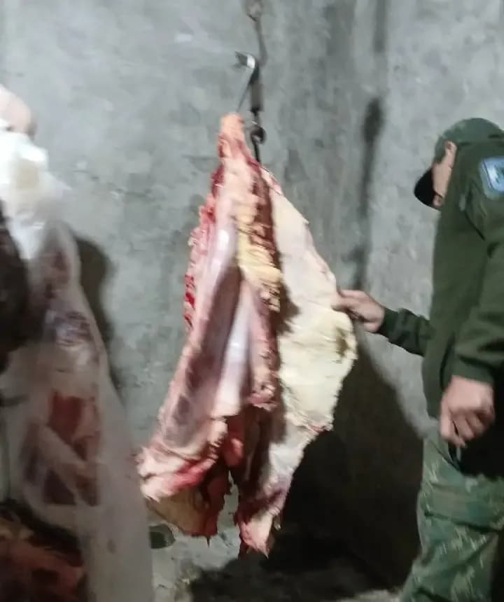Clausuran carnicería y secuestran casi 60 kilos de carne contaminada con tierra y pasto