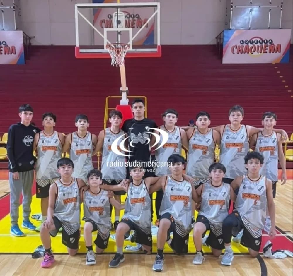 Pingüinos viaja a Santa Fe por la cuarta fase de la Liga Federal U13