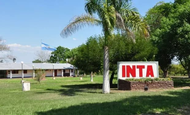 El INTA busca nuevos directores para Corrientes y otras dos regiones