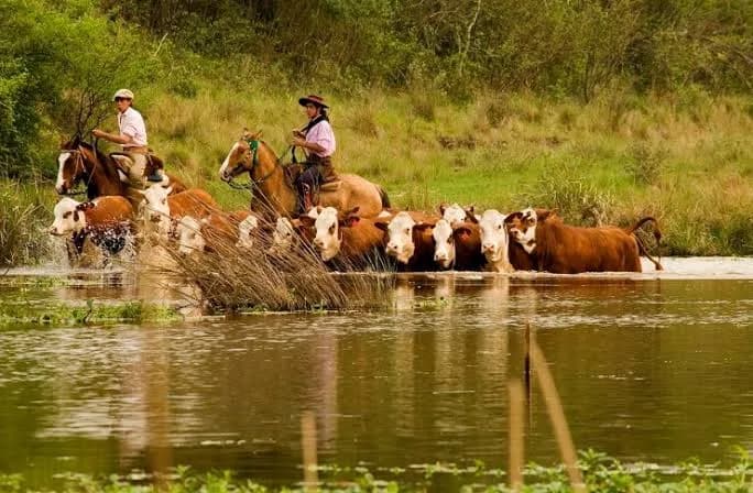 La crecida de los ríos Paraná y Uruguay mantiene en alerta al Litoral y son más de 100 los evacuados y autoevacuados
