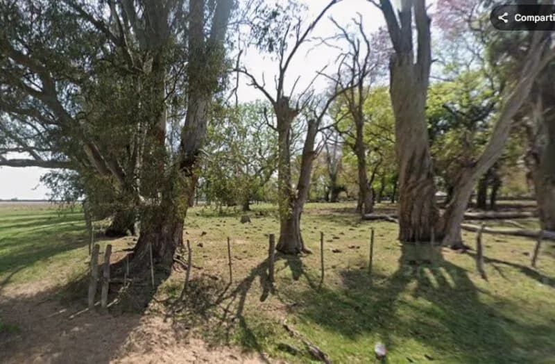 Alerta máxima por la desaparición de la directora de una escuela rural de Corrientes