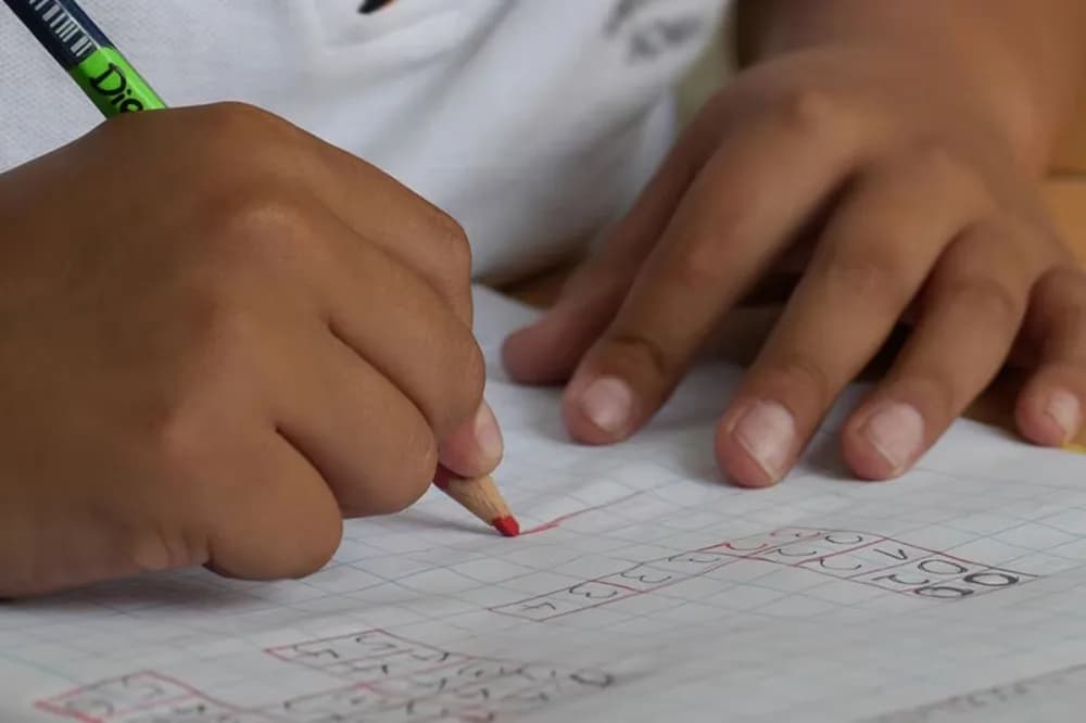 De cuánto es la AUH en noviembre 2026, con el aumento oficial