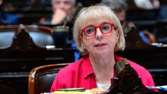 Silvana Guidici: “La marcha universitaria mezclaba las consignas y llevaba a estudiante detrás de la izquierda violenta”