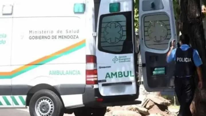 Un nene de 5 años murió atropellado tras caer de la caja de la camioneta de su papá