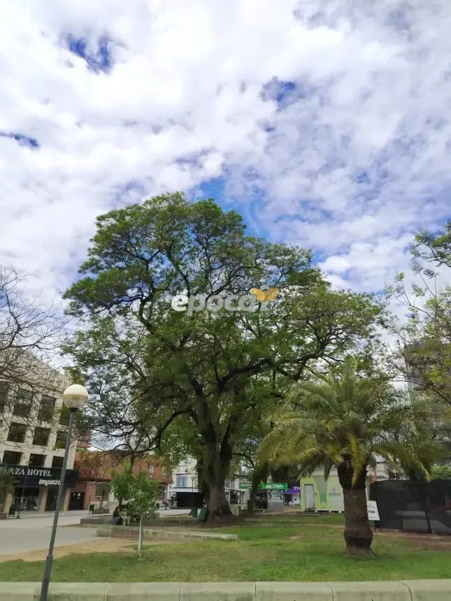 Corrientes con buen tiempo sin lluvias y máximas que rondarán los 21 grados