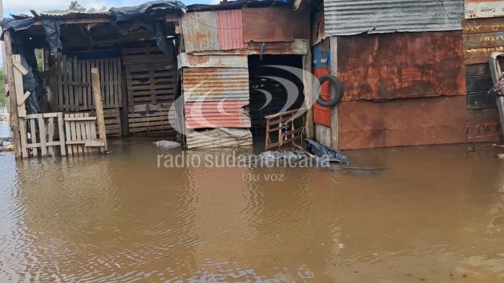 Crecida del río Paraná: Tenemos 90 familias autoevacuadas