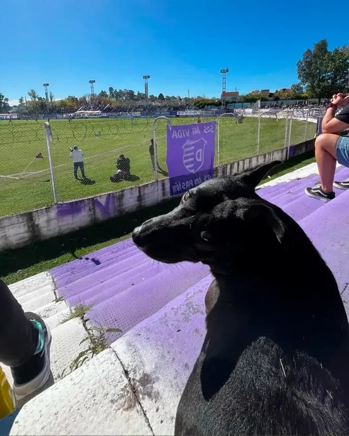 Guille ya tiene su propia bandera en la cancha