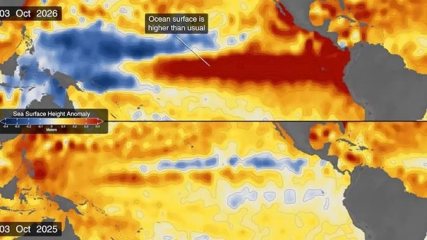 El Niño: la señal clave en el océano que anticipa un impacto extremo en el clima