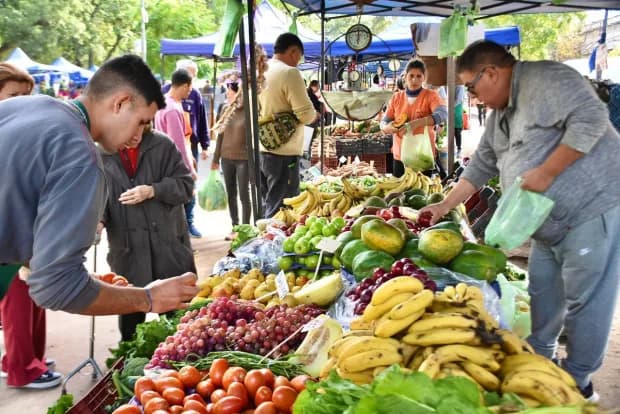 Nueva semana de Ferias de la Ciudad: frutas, verduras, artesanías y propuestas gastronómicas