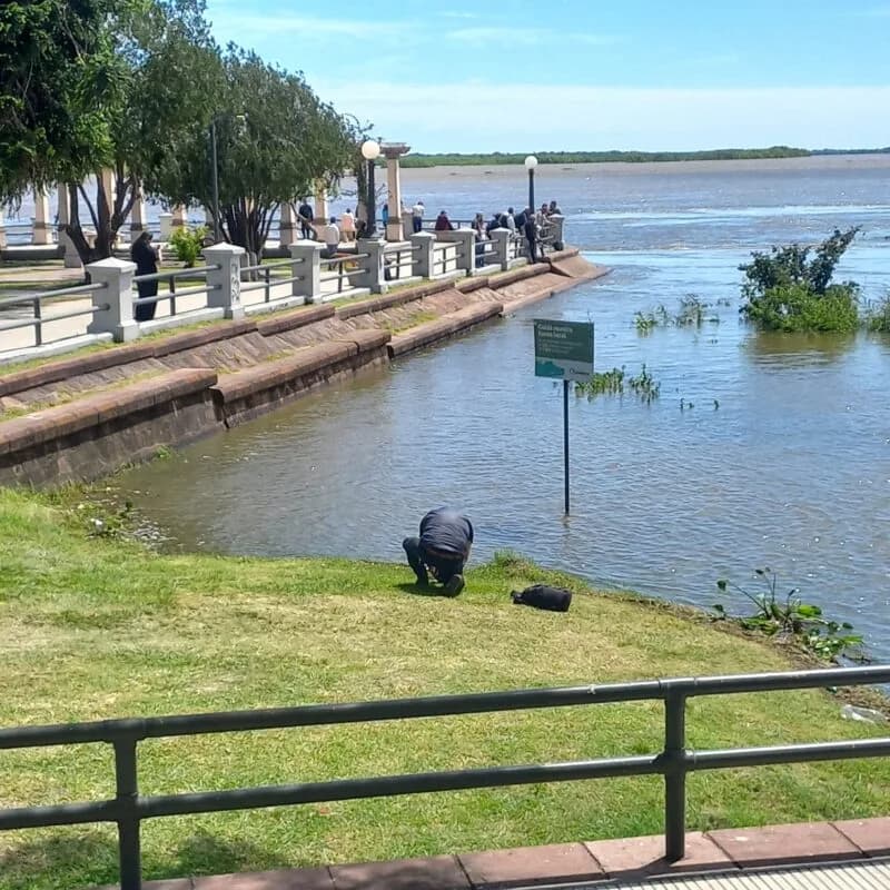 Crecida del Paraná: la Capital provincial entró en etapa de evacuación