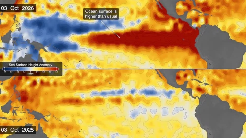 El Niño: la señal clave que anticipa un impacto extremo en el clima