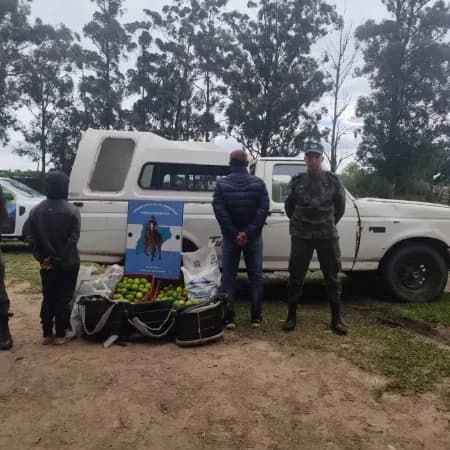 Dos detenidos por robar limones en una quinta del interior de Corrientes