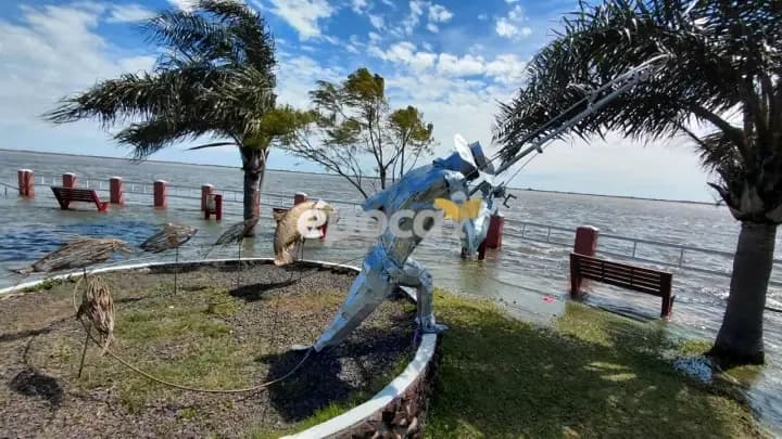 El Paraná llegó a 7,65 metros en Paso de la Patria