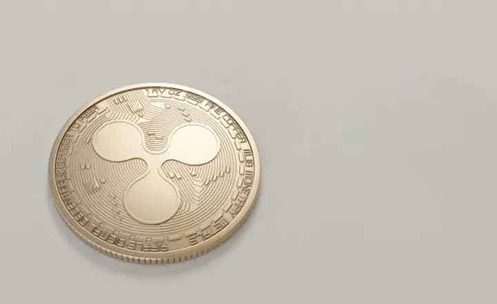 Muchos árbitros, un único juego: ¿Cómo funciona el protocolo de Ripple?