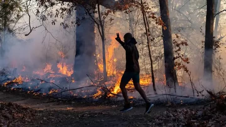 El fenómeno de El Niño podría aumentar el riesgo de incendios forestales en dos regiones de EEUU