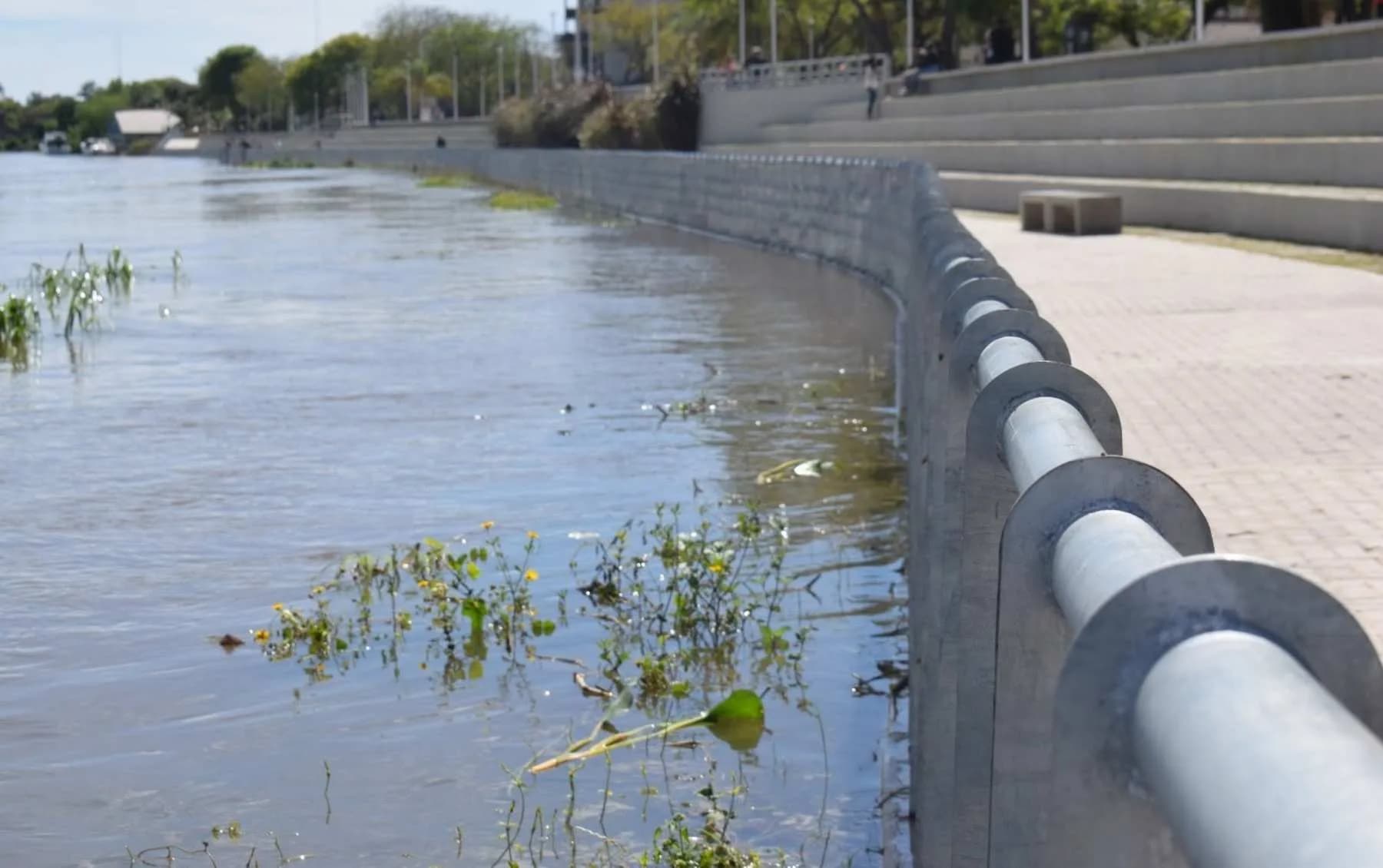El agua en Goya ya alcanza la costanera y esperan el pico de la crecida esta semana