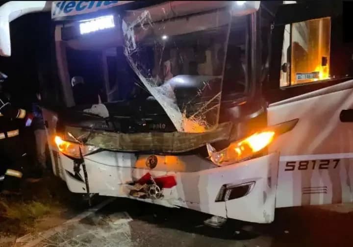 Un colectivo chocó contra una vaca en la Ruta 12: el conductor resultó herido