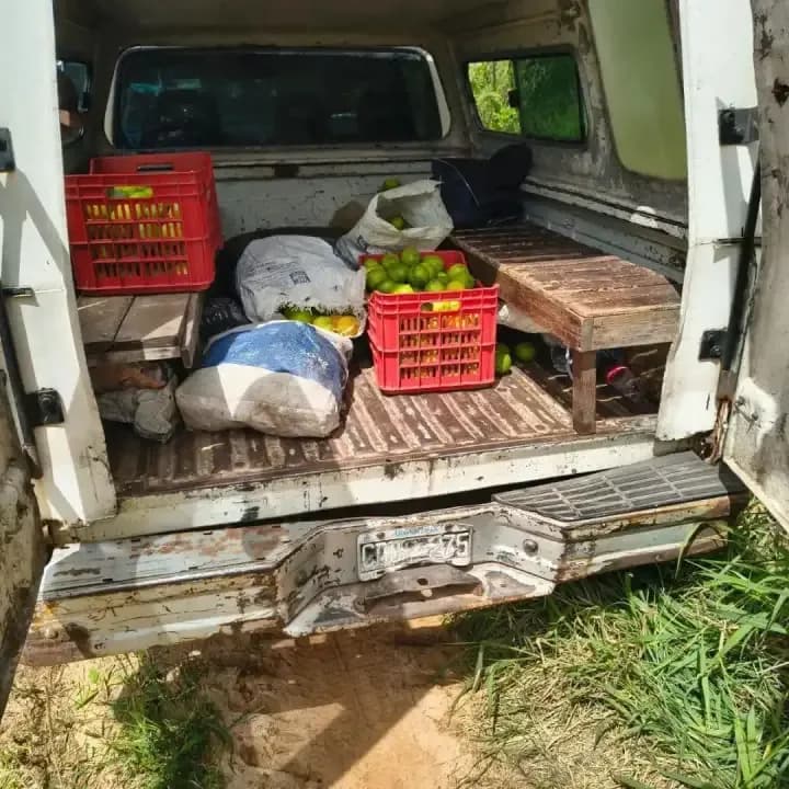 Dos detenidos por robar limones de una quinta: un tercer sospechoso escapó