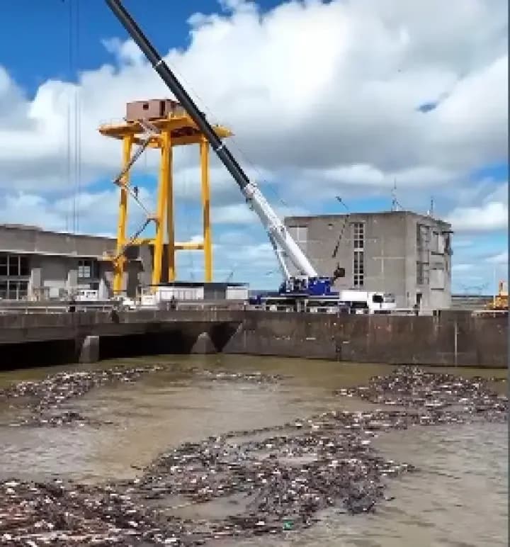 Toneladas de basura producen el taponamiento del agua de las turbinas de Yacyretá