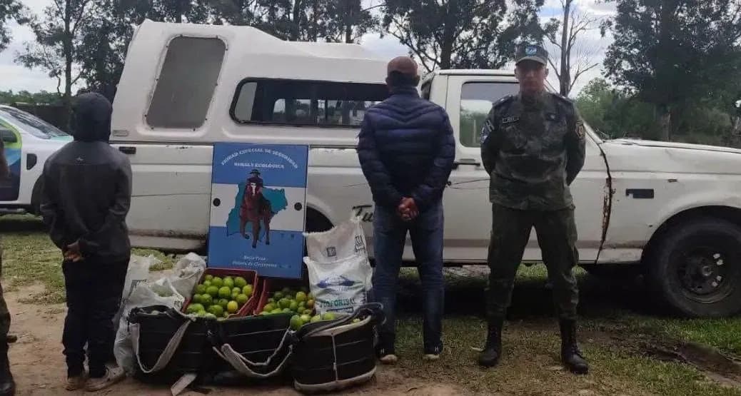 Corrientes: fueron sorprendidos en pleno robo de limones en una plantación