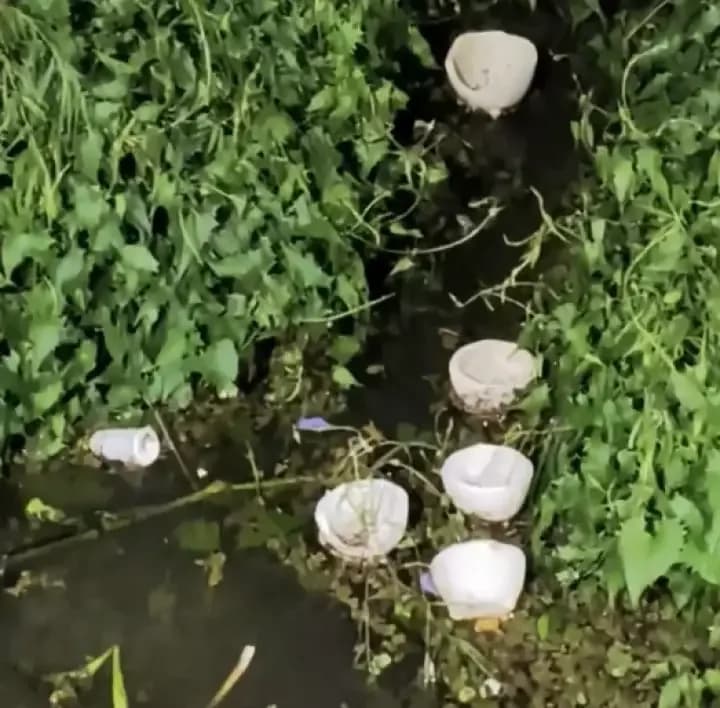 La creciente arrastró la basura a la costanera correntina