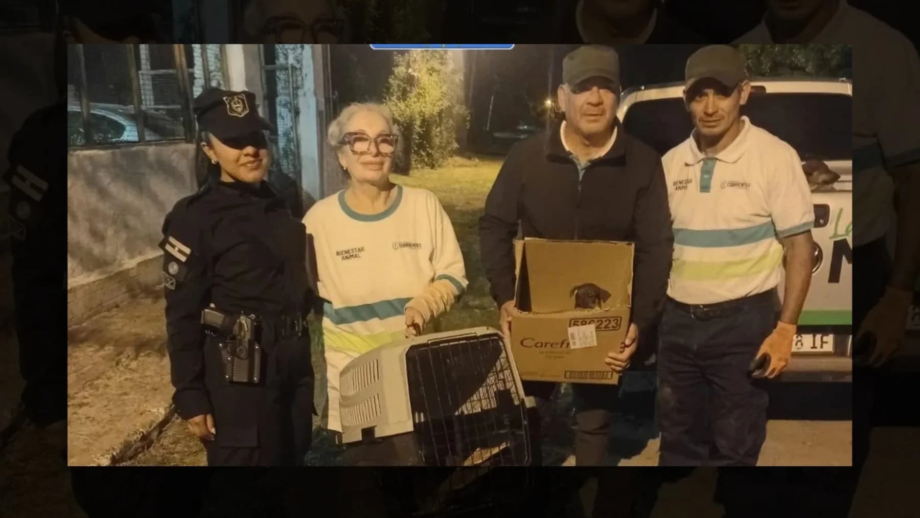 Rescataron a 11 perros tras un operativo en un barrio de Corrientes