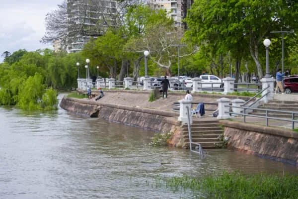 Crecida de ríos Uruguay y Paraná: "Estamos en el momento de mayor impacto" en la región