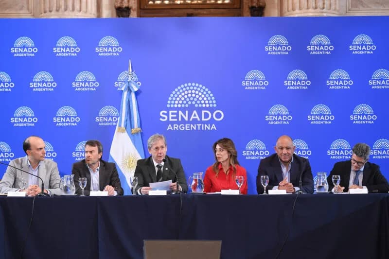Coparticipación: “Se arrastran asimetrías que condicionaron el desarrollo de las provincias”