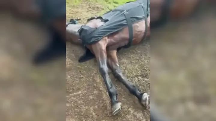 Un rayo mató a cuatro yeguas de polo en San Isidro