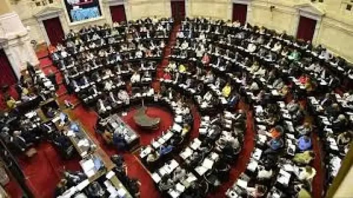 Ley de Discapacidad: el oficialismo logró el apoyo de UxP y se aprobó el proyecto con una mayoría abrumadora