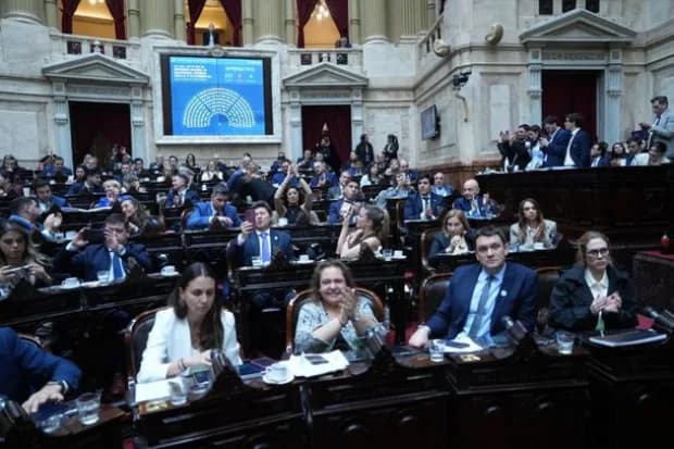 Diputados dio media sanción con abrumadora mayoría a la nueva Ley de Discapacidad