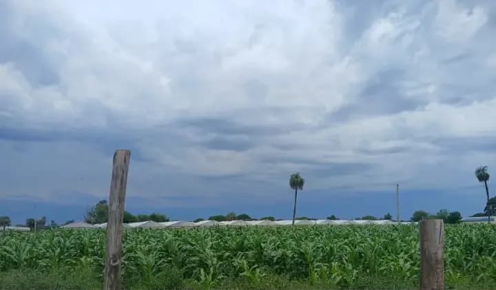 Anuncian tormentas para esta noche y la madrugada del viernes