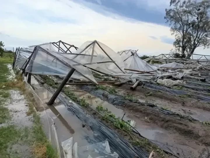 Los daños por el temporal afectaron a unos 50 productores hortícolas y tabacaleros