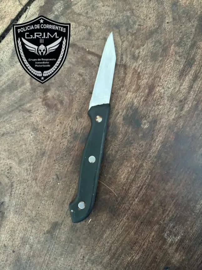 Demoraron a un hombre por causar disturbios en el Parque Mitre y llevar un cuchillo