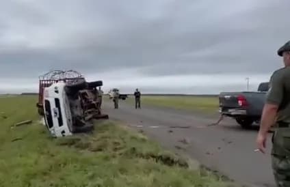 Autovía 14: volcó un vehículo que transportaba vacunos y advierten por animales en la ruta