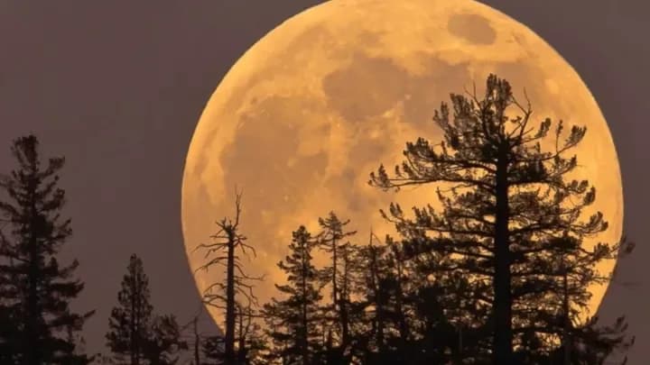La Luna del Cazador iluminará el cielo esta noche