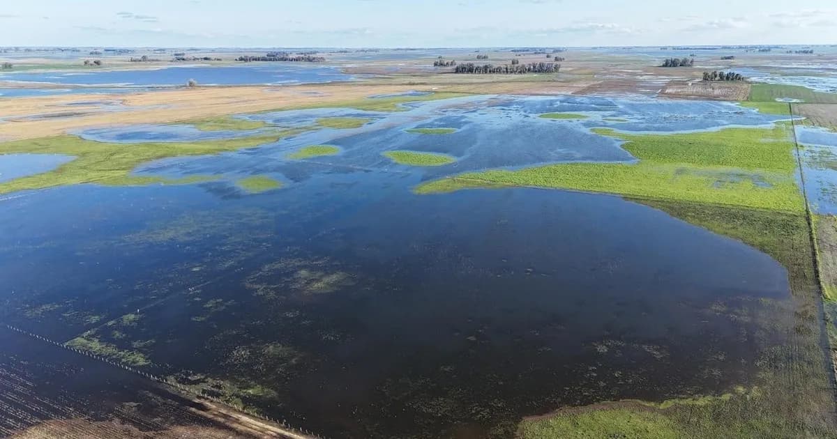 Inundaciones: declaran la emergencia agropecuaria en dos partidos de Buenos Aires