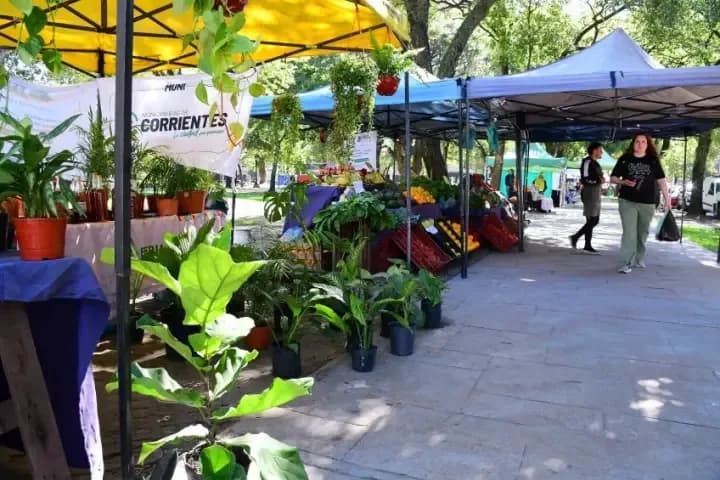 Productos frescos, artesanías y gastronomía en las ferias de la ciudad