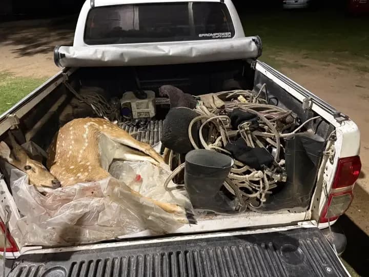 Demoraron a cuatro cazadores y secuestraron un ciervo axis muerto