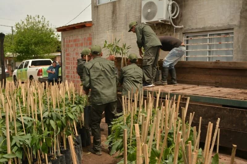 El Plan Palta distribuyó 2.000 nuevos ejemplares en el interior