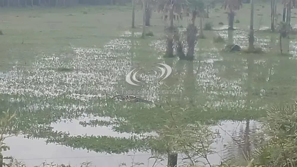 Quién es el hombre hallado muerto en zona inundada de Resistencia