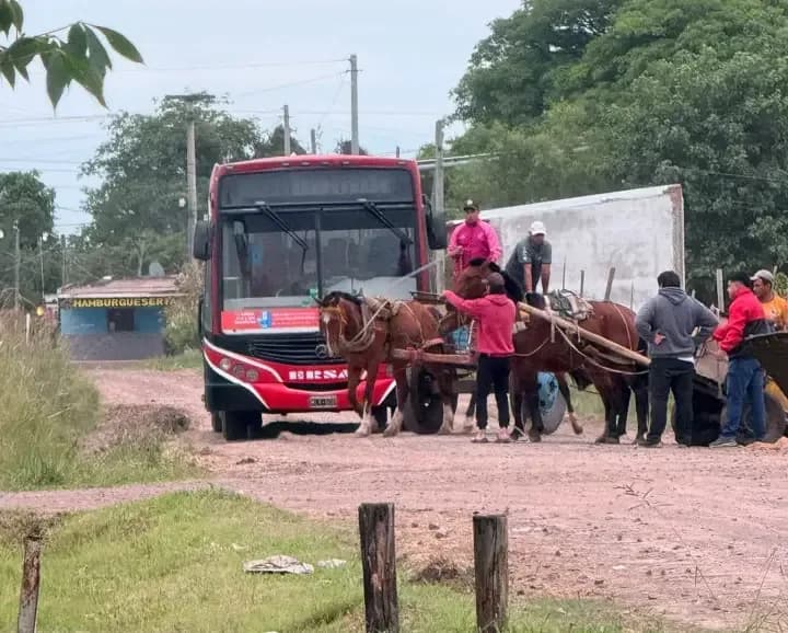 Corrientes: Indignación por un video que muestra a carreros maltratando caballos