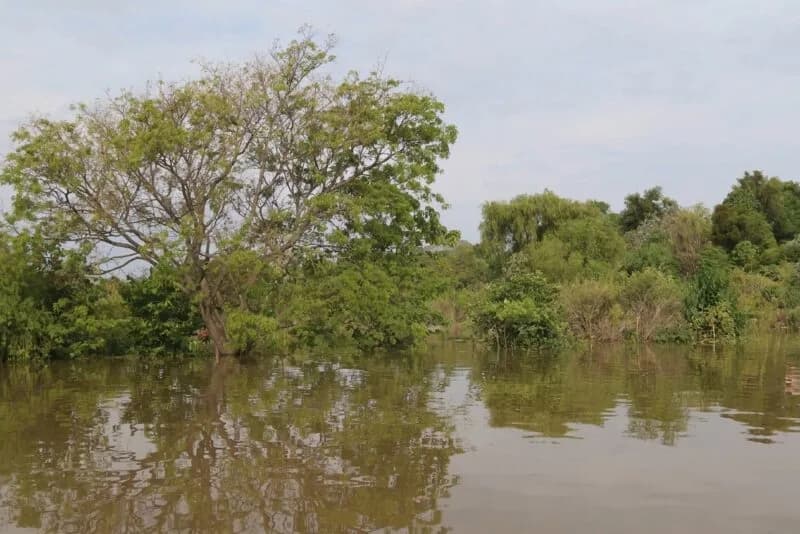 Misterio en el barrio Santa Marta: ladrilleros hallaron a un hombre sin vida en el río