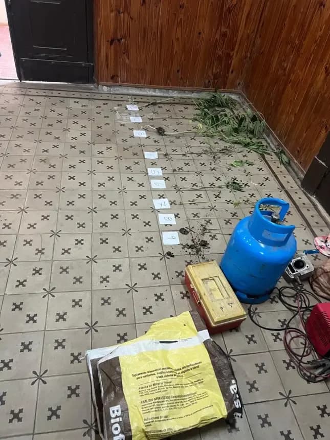Recuperan elementos robados, demoran a tres hombres y secuestran plantas de marihuana