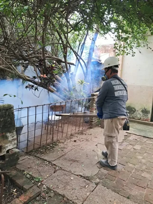 Realizan tareas preventivas contra el dengue en Corrientes