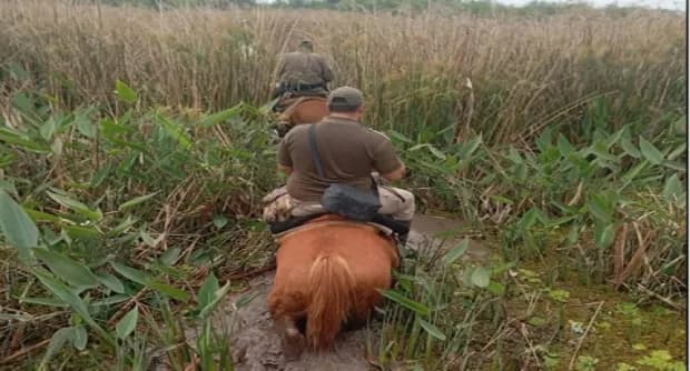 Dónde, quién y cómo encontraron el cuerpo de Nancy