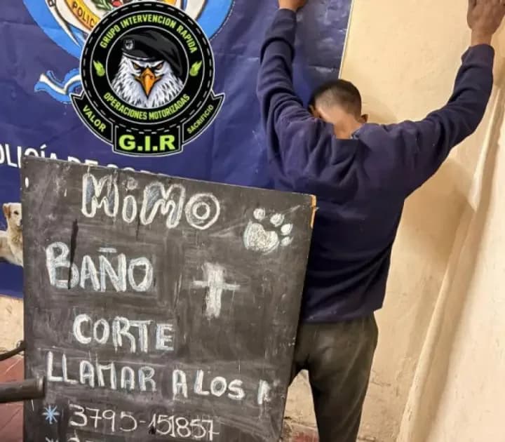 Esclarecieron los robos a un local bailable y a un "pet shop"