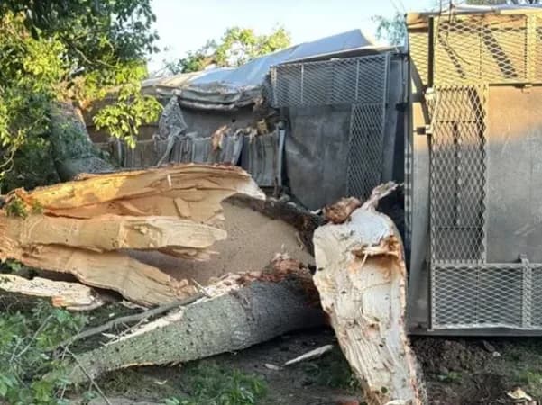 El tren Belgrano Cargas descarriló y volcó en Santa Fe